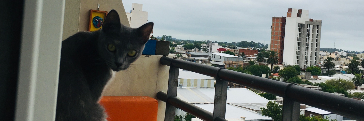catarcecis's profile banner image