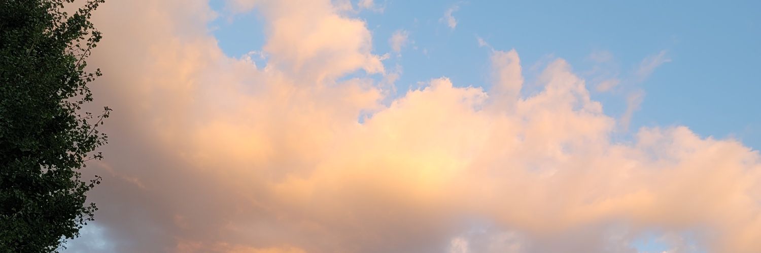 halu_0u0's profile banner image