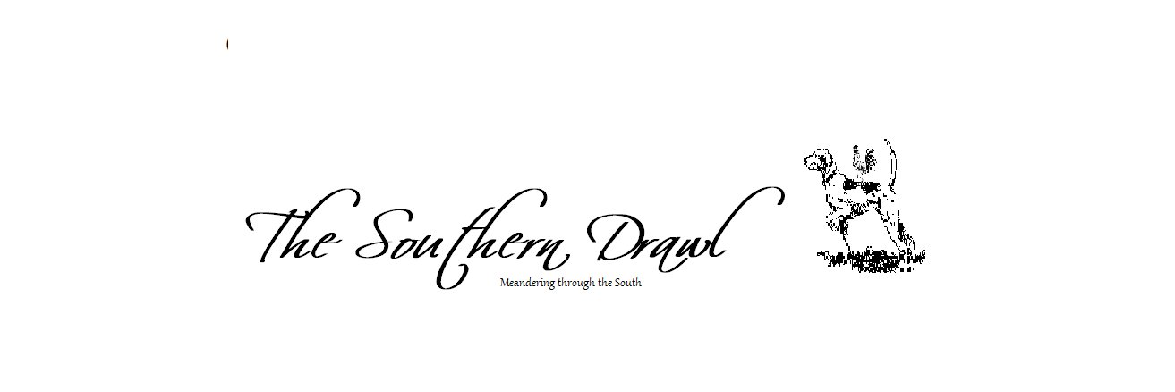 SouthernDrawl47's profile banner image