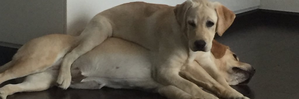 katherine_s08's profile banner image