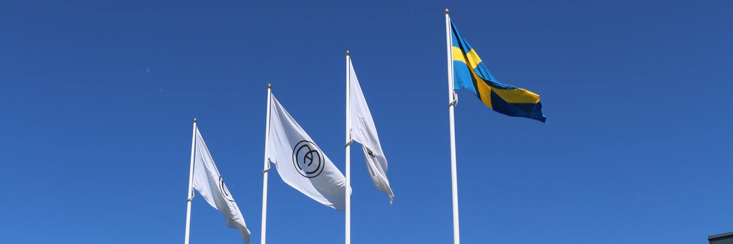 mariaakerberg's profile banner image