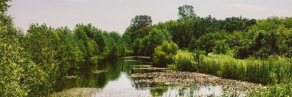 GeorgiaCline__'s profile banner image