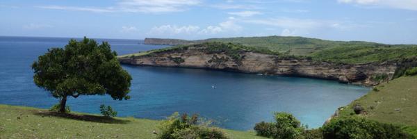 dataTitianda Profile Banner