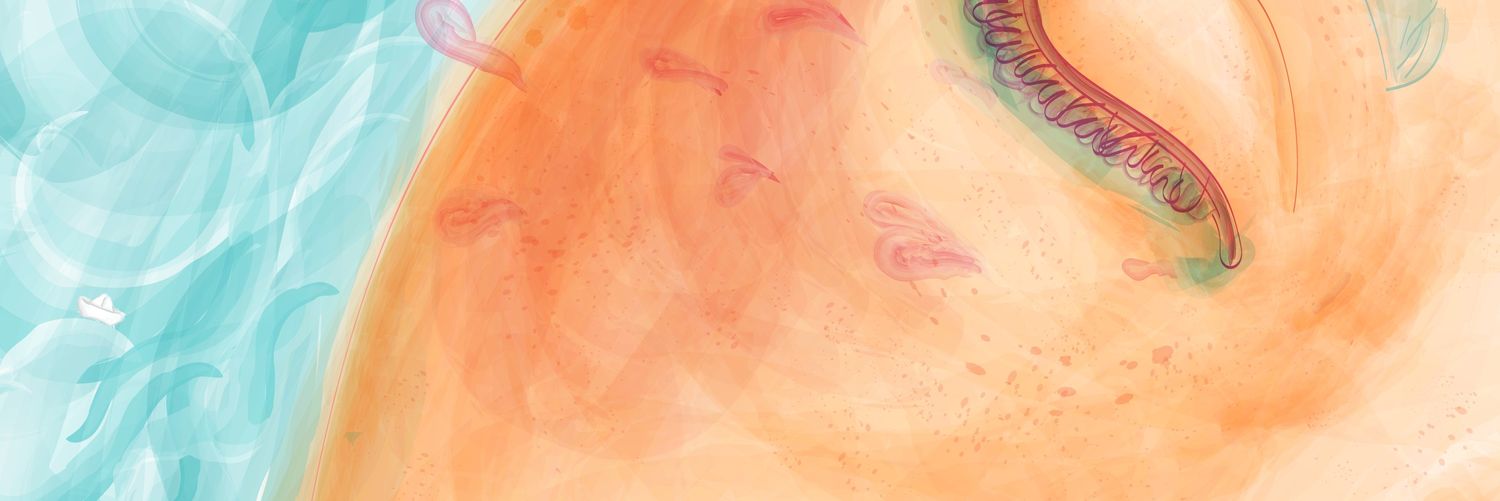 mariarmoa's profile banner image