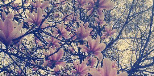 FantinelliGreta's profile banner image