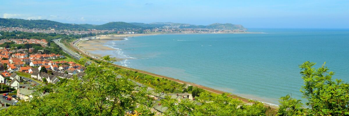 Matthew Joyes banner