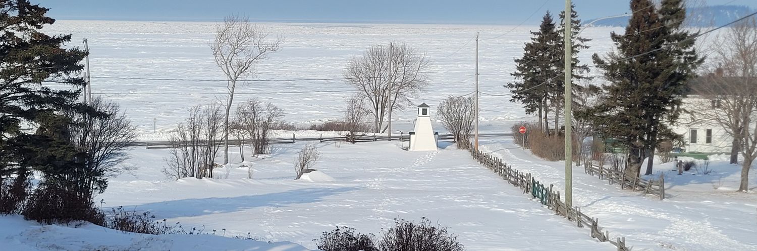 Andrew Caddell banner