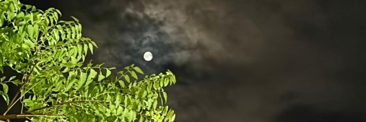 ضوء القمر banner