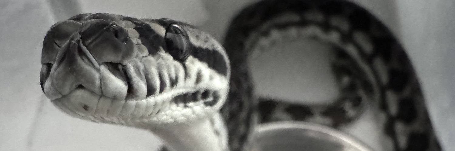 りょやのすけ banner