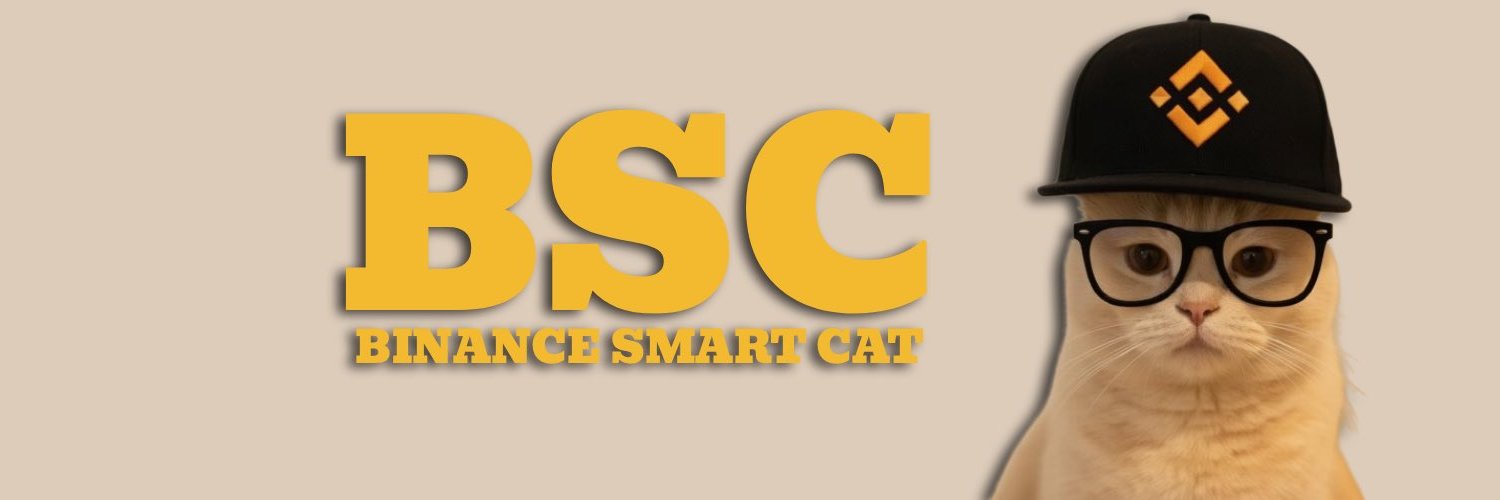 BSC_SmartCat's profile banner image