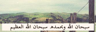 reem3446's profile banner image