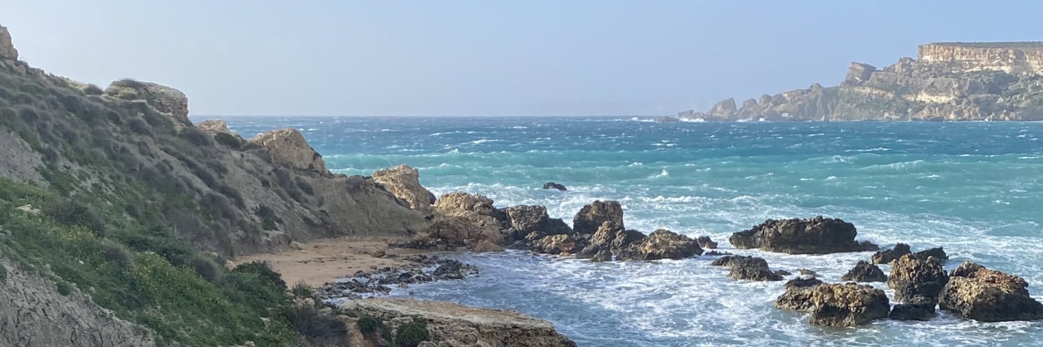 Andrew Borg-Cardona banner