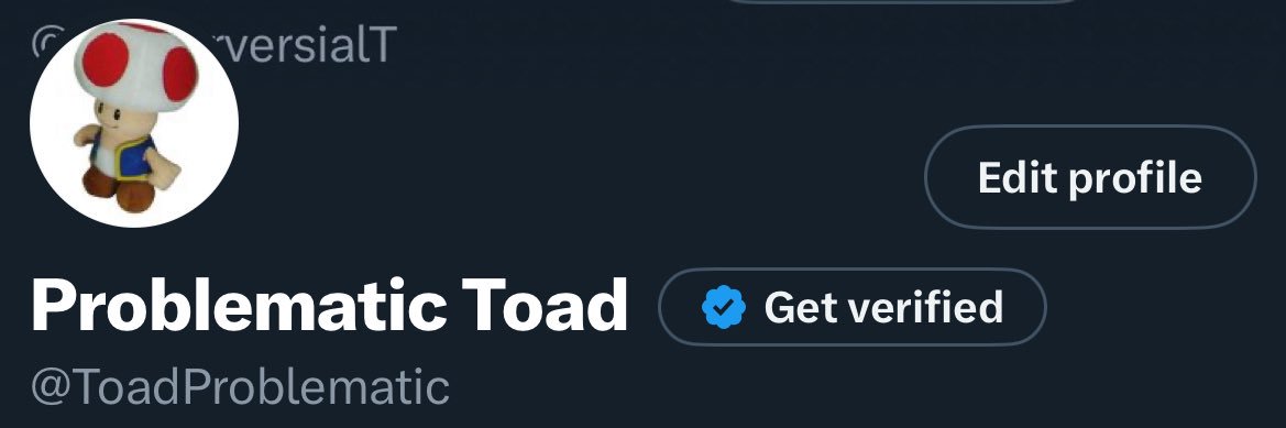 TroublesomeToad - (on long break!) banner