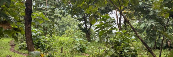 VanHakk_ Profile Banner