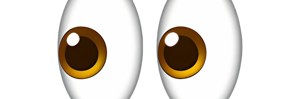 whoever this guy is banner