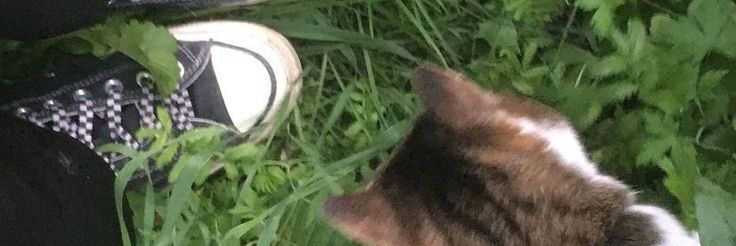 ravenxbeastboy's profile banner image