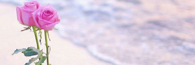 ‏‏عُهود .. 👒 banner