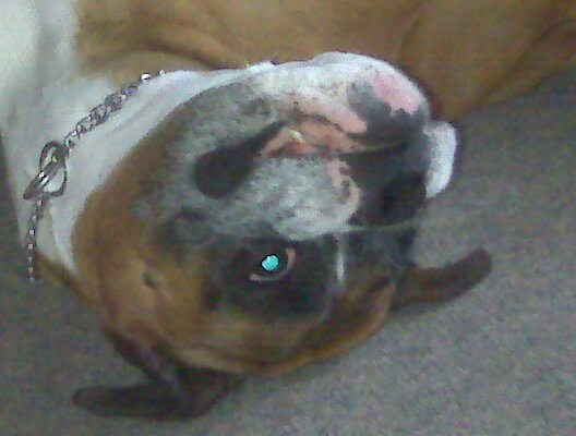 DADZZRCK's profile banner image