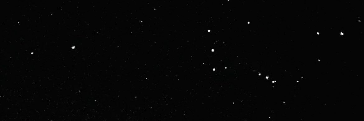 ruby banner