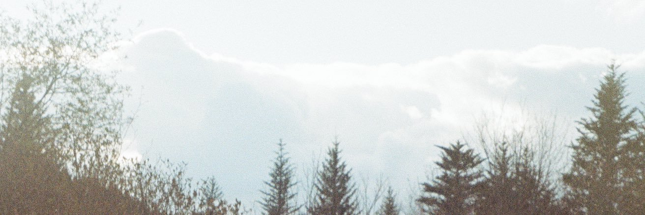 CarvedDeep's profile banner image