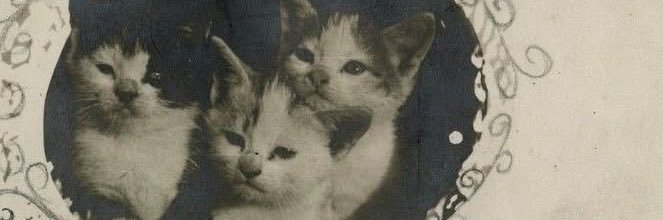 myheadbroke's profile banner image