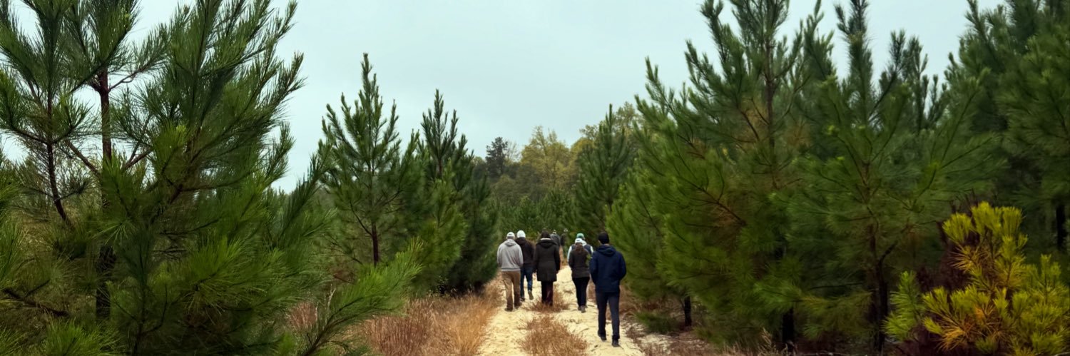 CandyrootLodge banner