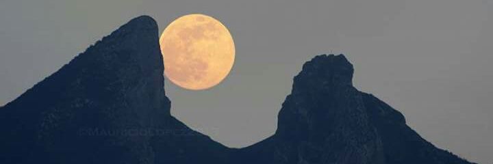 LupDepp's profile banner image