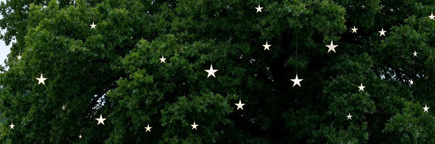 remmine ʚїɞ banner