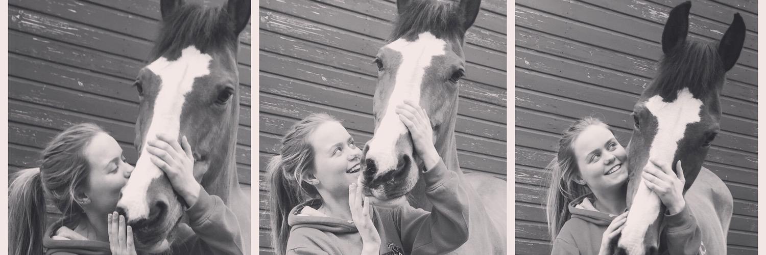 abbieburling's profile banner image