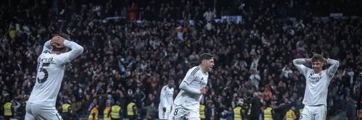 زياد| فالفيردي banner