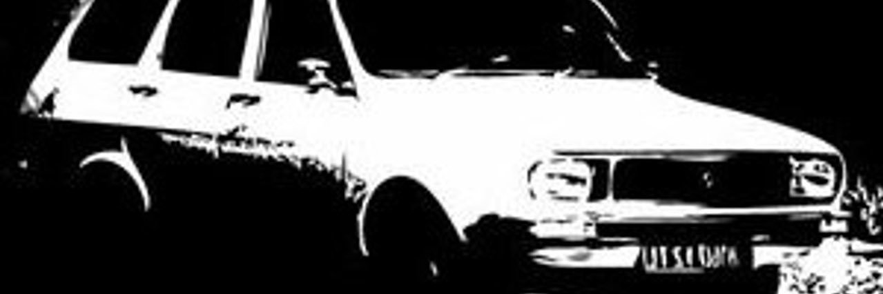 Türkçü ‎ 𐰀𐰢 banner