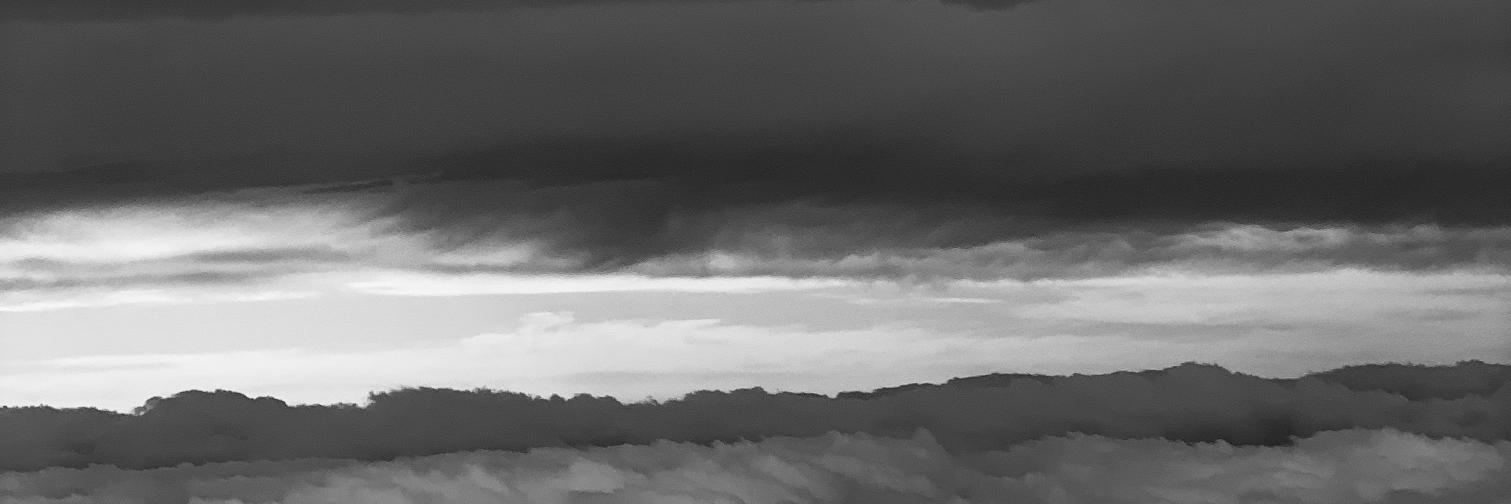 david goubitz banner