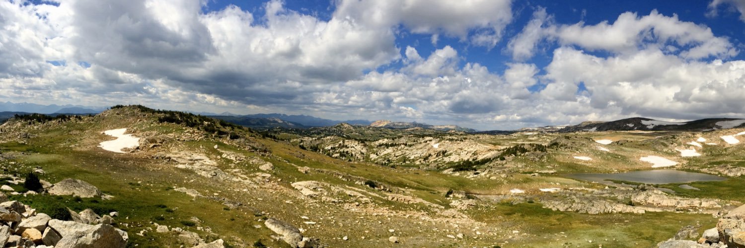 Dr. Danica Roth banner