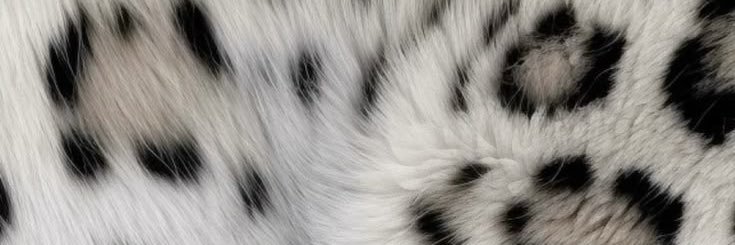 esraauludagg's profile banner image