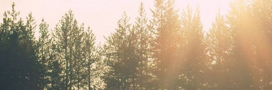 _alliescott's profile banner image