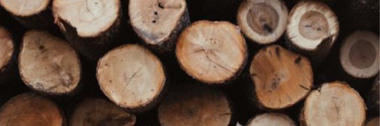 becca_branch's profile banner image