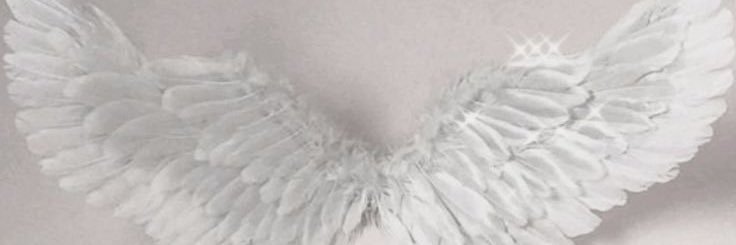 yourkittyjay's profile banner image