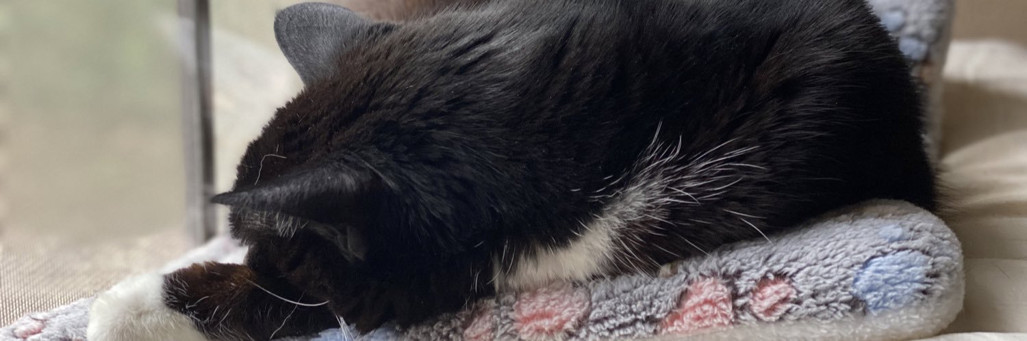 Kenneth Bassham banner