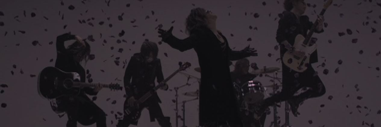 Mooiwolf's profile banner image