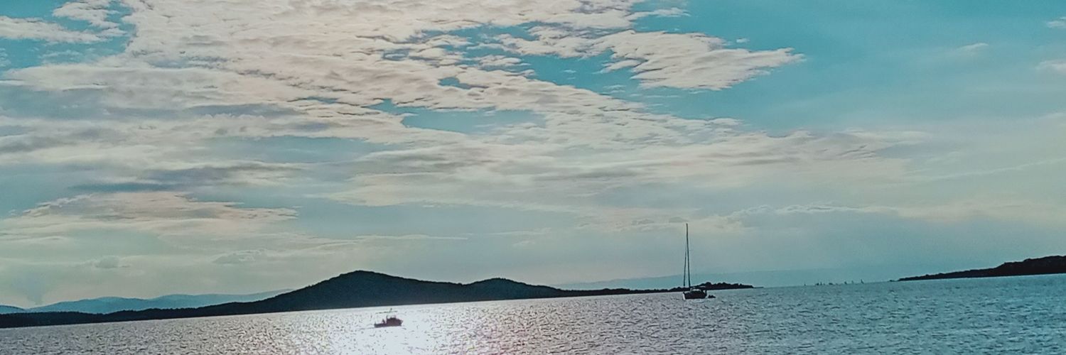 SkSelda's profile banner image