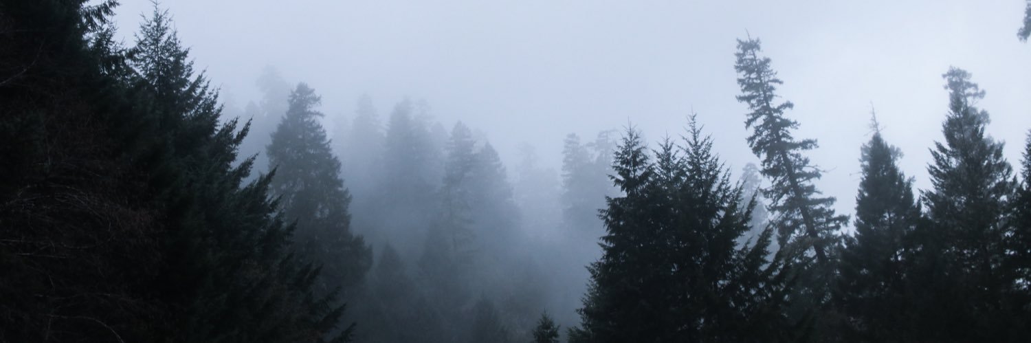 eeffsss's profile banner image