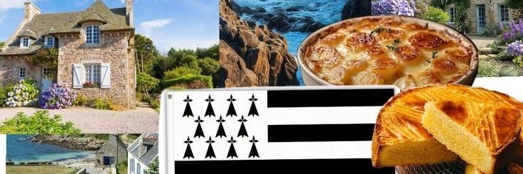 Bzzzzzzzzz banner