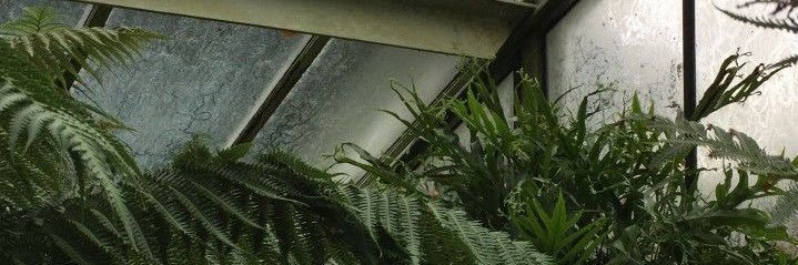 mathiusto's profile banner image