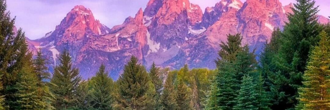 Mls7899's profile banner image