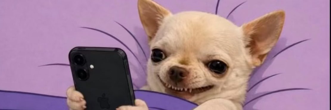 thechainqueen's profile banner image