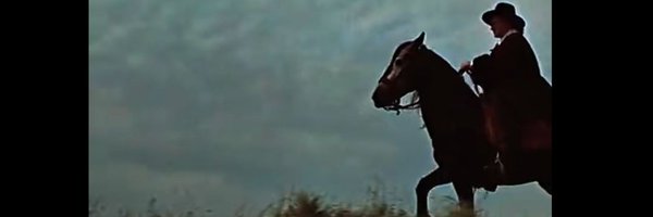 QingFoid Profile Banner