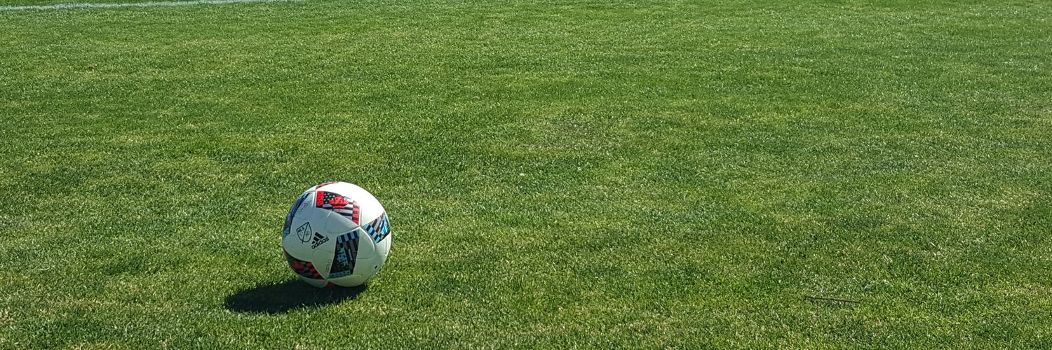 Leo Ponce Jr. banner