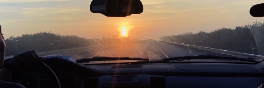 Savanna_Dell's profile banner image