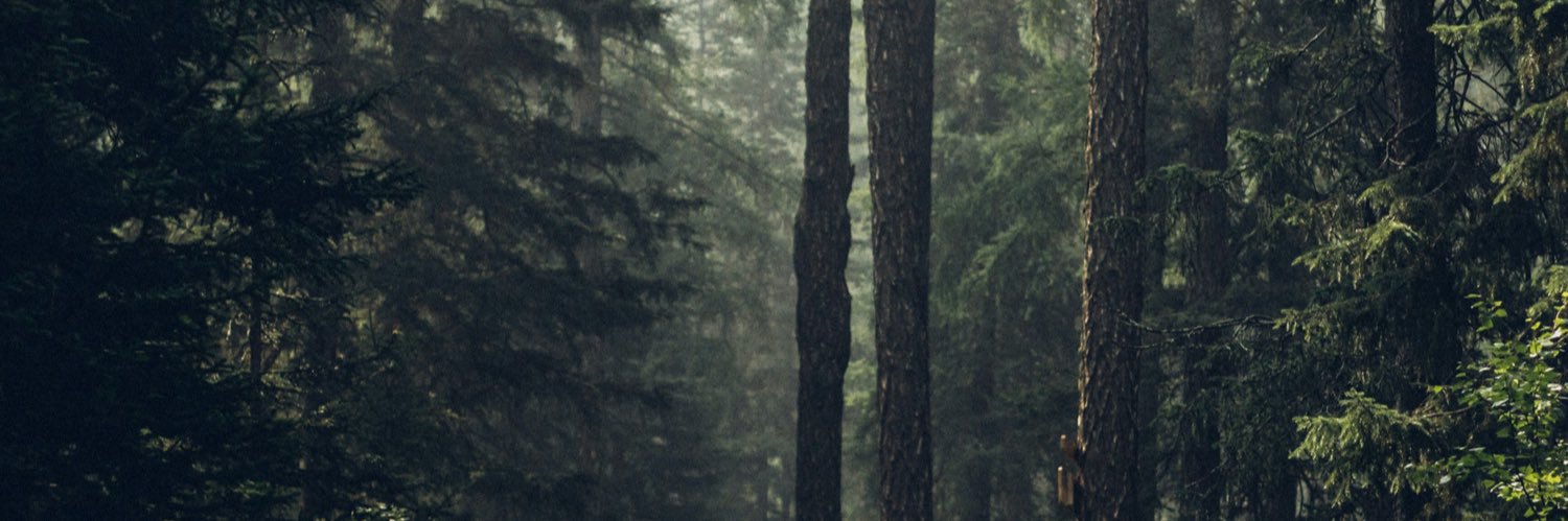 dassocari's profile banner image