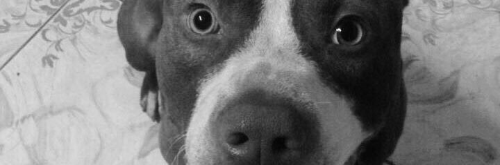 belenvaldez96's profile banner image